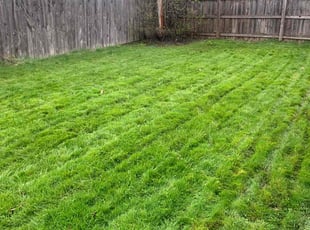 Alan S.'s lawn service service result