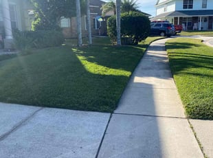 Miguel L.'s lawn care service result