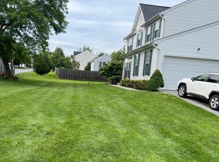 Jasmine A.'s lawn care services service result