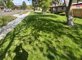 Deborah M.'s lawn care services service result