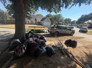 Barry S.'s Cleanup service result