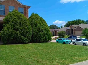 Ashley S.'s turf care service result