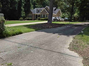 Esther N.'s lawn care service result