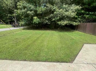 Cindy S.'s turf maintenance service result