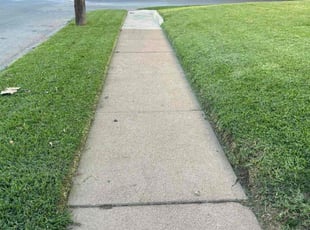 Shay S.'s lawn care services service result