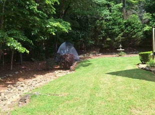 Linda B.'s turf care service result