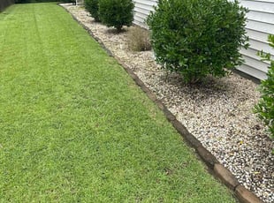 Rene' C.'s Weeding service result