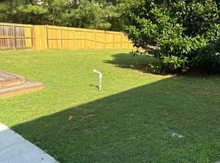 Brianna G.'s grass maintenance service result