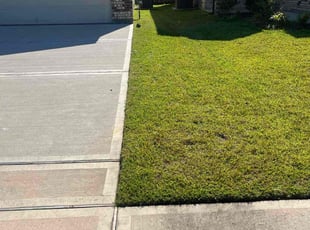 Felix T.'s lawn care service result