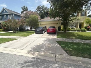 Frank B.'s turf care service result