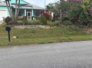 Deborah M.'s lawn care services service result