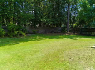 Danielle M.'s lawn care service result