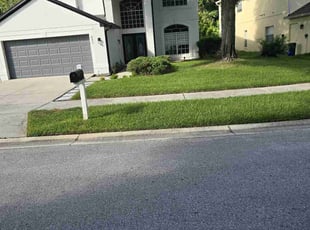 Andrea L.'s turf care service result