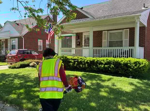 Sean S.'s grass cutting service result