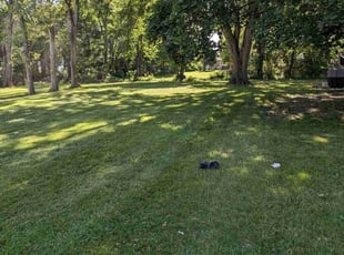 Shea M.'s turf maintenance service result