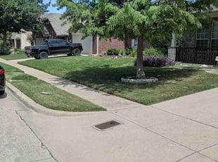 Ron W.'s turf maintenance service result