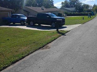 Jarretta S.'s turf maintenance service result