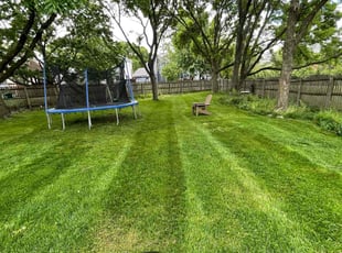 Cianna M.'s lawn care service result