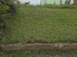 Jeffrey S.'s lawn maintenance service result