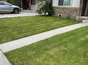 Jessica S.'s lawn care services service result