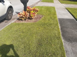 Judy K.'s Bush Trimming service result