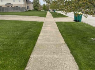 Leslee A.'s lawn service service result