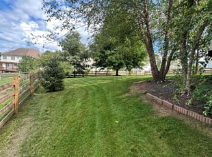 Mark E.'s turf maintenance service result