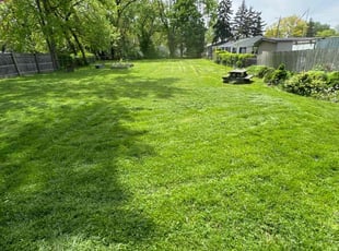 Marisa Z.'s grass cutting service result