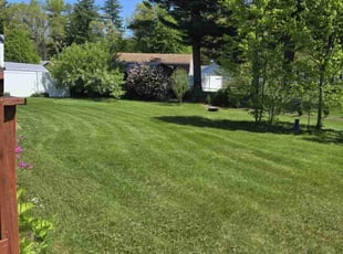 Amber M.'s lawn care service result