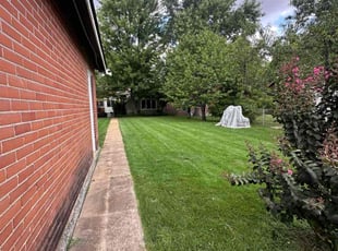 Lekeya H.'s lawn care service result