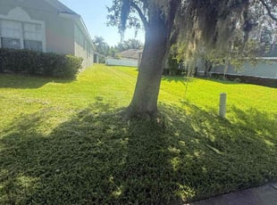 Ivory S.'s lawn service service result