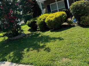 Charles F.'s turf care service result
