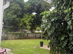 Linda R.'s turf care service result