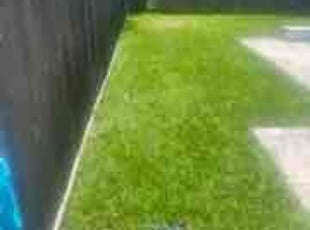 Olga B.'s grass cutting service result