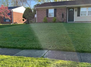 Rachel C.'s lawn service service result