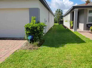 Ben P.'s turf care service result