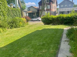 Joseph H.'s lawn service service result