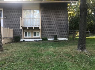 Chris G.'s Bush Trimming service result