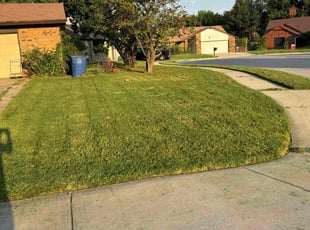 Stephanie B.'s lawn care service result