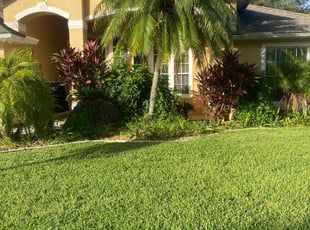 Bobby W.'s Weeding service result