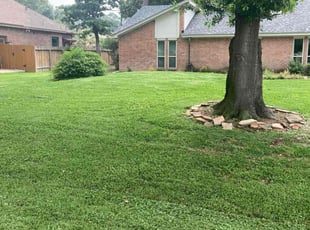 Arthur K.'s grass maintenance service result