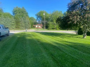 Dee P.'s lawn care services service result