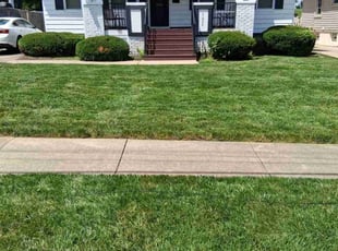 Eric H.'s lawn care services service result