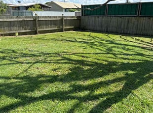 Bill M.'s lawn maintenance service result