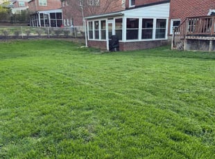 Kelli K.'s lawn service service result