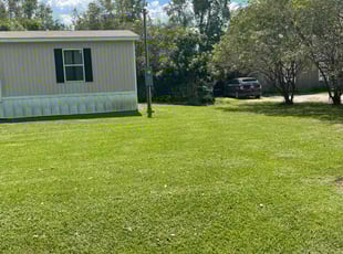 Baili O.'s turf maintenance service result