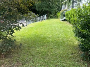 Anita L.'s lawn service service result