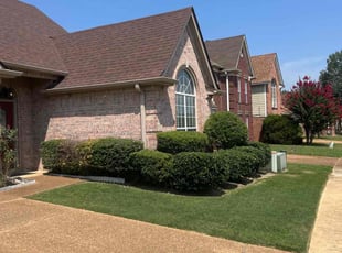 Rhonda D.'s Bush Trimming service result