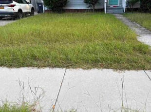 Zhirui D.'s lawn maintenance service result