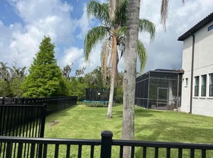 Jim S.'s lawn maintenance service result